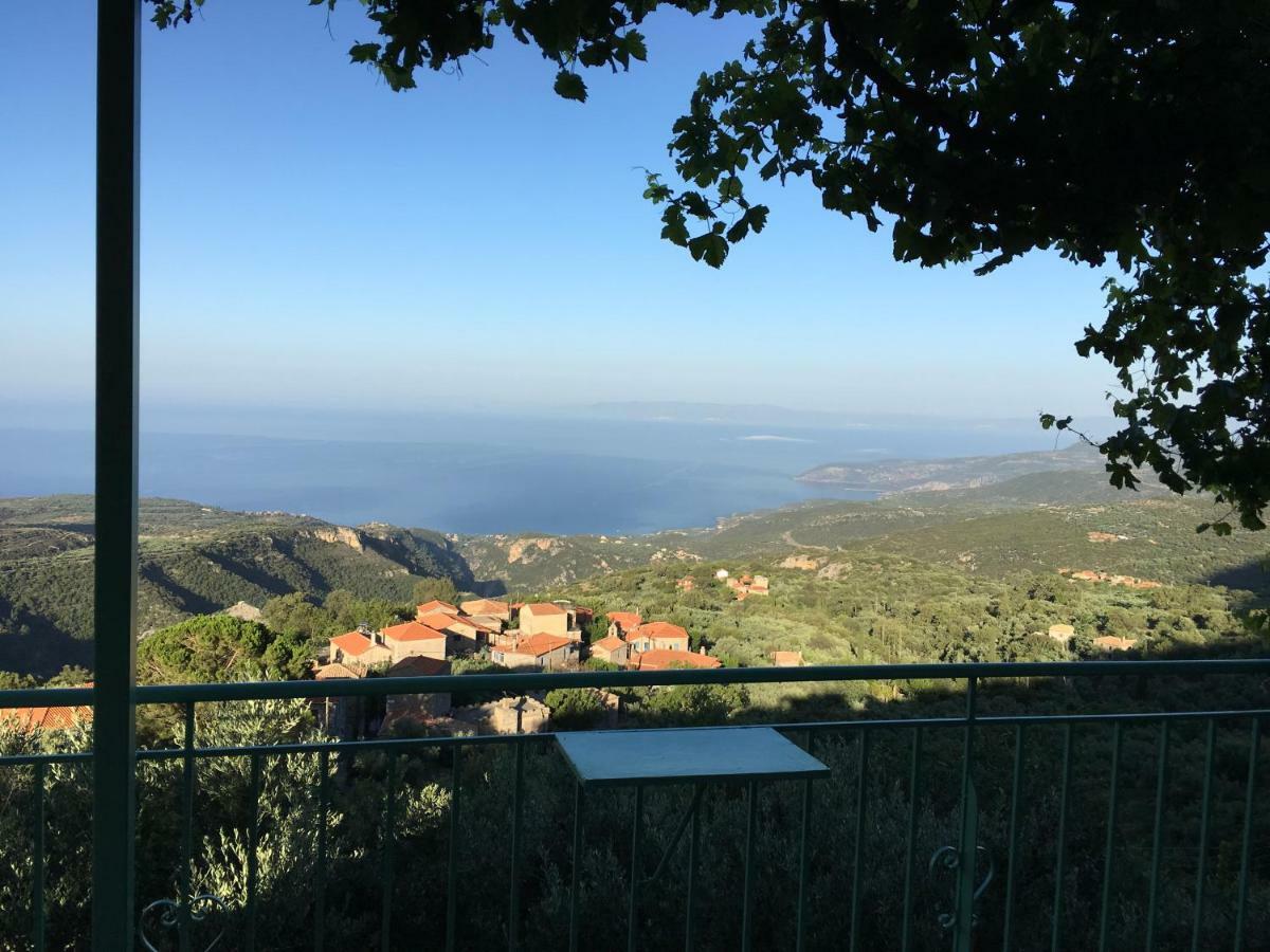 Nefeli Villa Tseria Exteriör bild